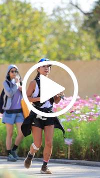 BIB:  <button type="button" onclick="openModal(27584085)" class="btn btn-primary btn-sm float-right" data-toggle="modal" data-target=".modal-high-quality">
                <i class="fa fa-download"></i> Download
                </button>